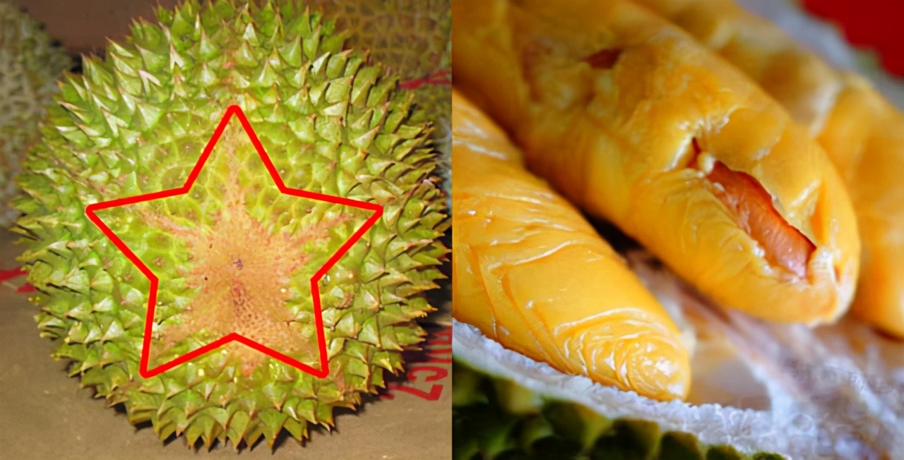 马来西亚的榴莲有啥品种,马来西亚榴莲有几种