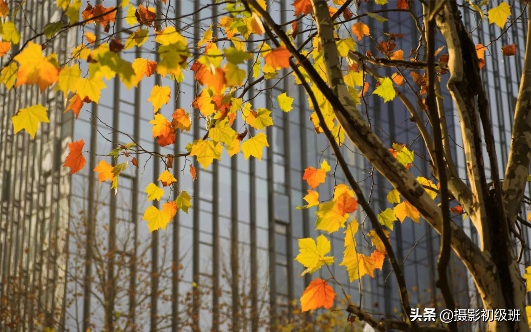 相机常规设置学摄影的你要知道,摄影相机基础推荐