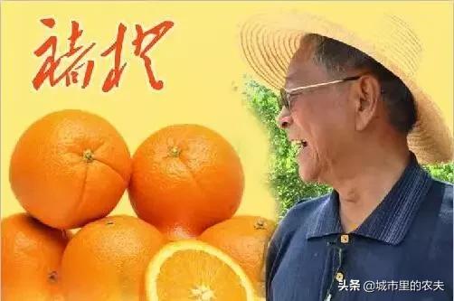 农村电商要怎么做才能成功,未来最火的农村电商