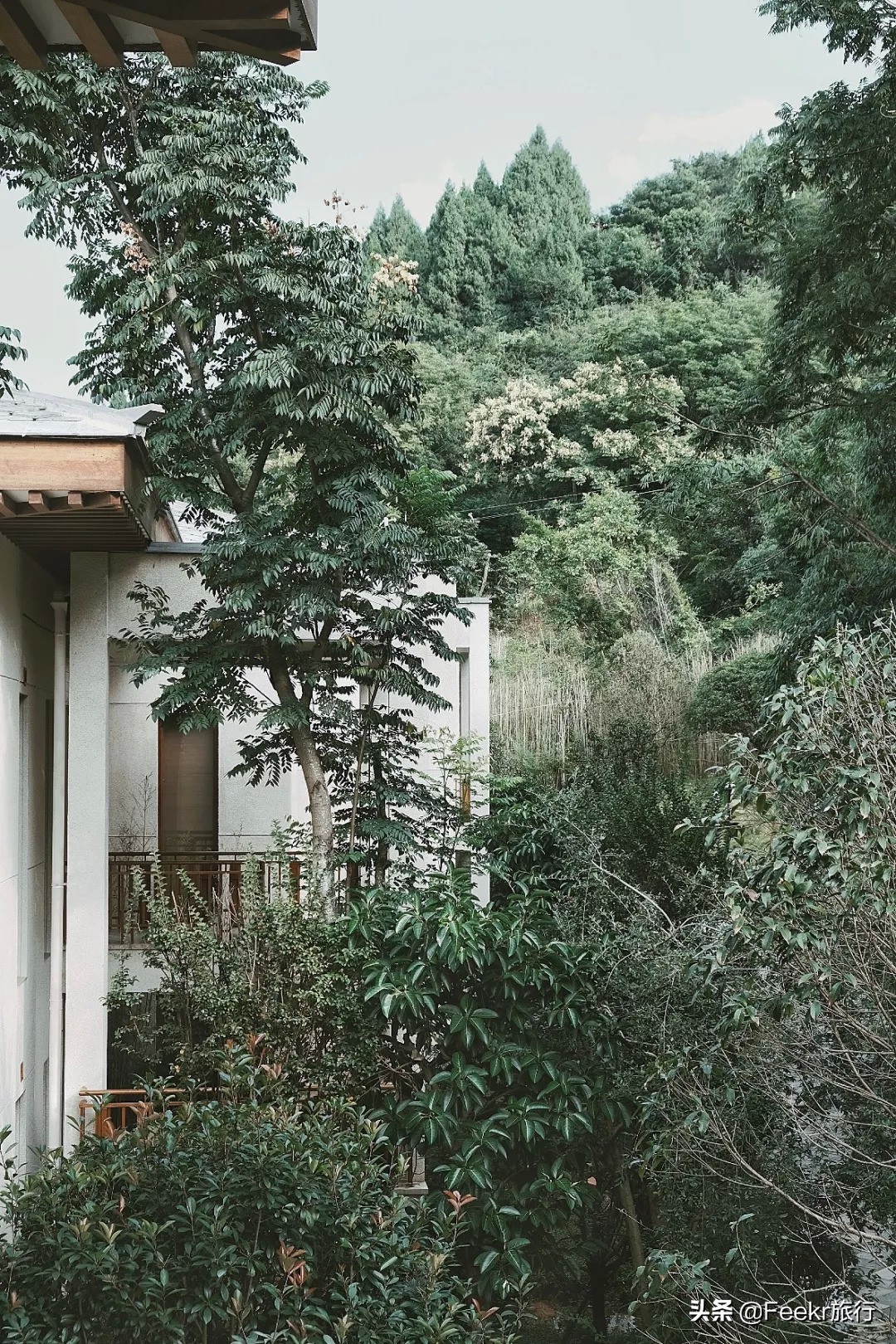 <html>
<head><title>502BadGateway</title></head>
<body>
<center><h1>502BadGateway</h1></center>
<hr><center>nginx</center>
</body>
</html>
<!--apaddingtodisableMSIEandChromefriendlyerrorpage-->
<!--apaddingtodisableMSIEandChromefriendlyerrorpage-->
<!--apaddingtodisableMSIEandChromefriendlyerrorpage-->
<!--apaddingtodisableMSIEandChromefriendlyerrorpage-->
<!--apaddingtodisableMSIEandChromefriendlyerrorpage-->
<!--apaddingtodisableMSIEandChromefriendlyerrorpage-->
