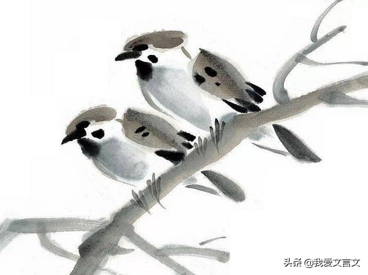 经典文言文句子及翻译精选70句,鸟说文言文翻译告诉我们什么道理