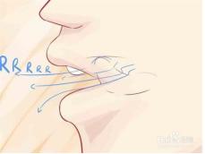 不会颤音可以学意大利语,意大利语大舌颤音发音视频