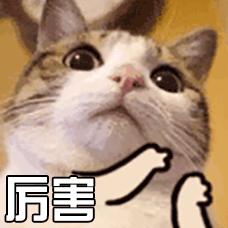 津港高铁,津港高铁怎么进港