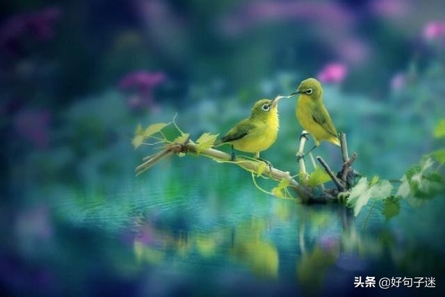 人生感悟英文短句子,句句入骨,看完你会明白很多!