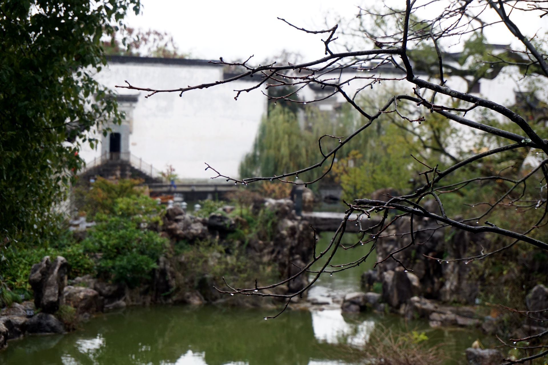 烟雨熹园穿越千年,谈一场宋朝的恋爱