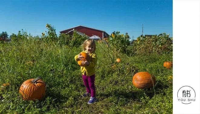 两周岁孩子不吃饭该怎么办,二岁小孩不爱吃饭有什么方法