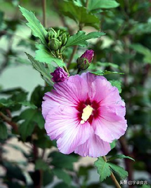 句句入骨的人生感悟个性签名,简短经典精辟走心的个性签名