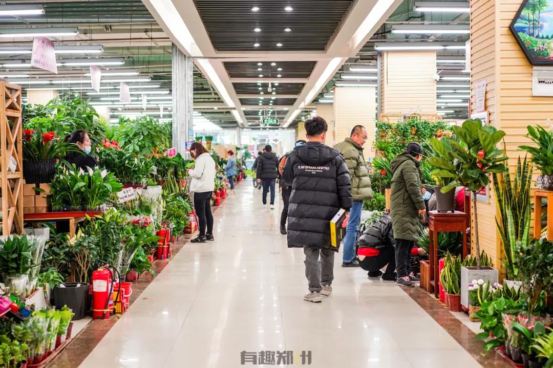 逛陈砦花卉,逛完街来杯温暖的奶茶