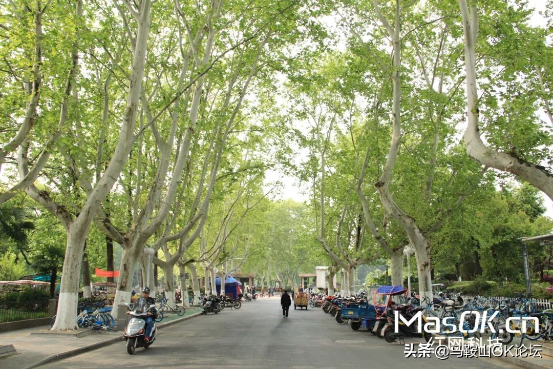 马鞍山深度体验,在马鞍山生活过的人