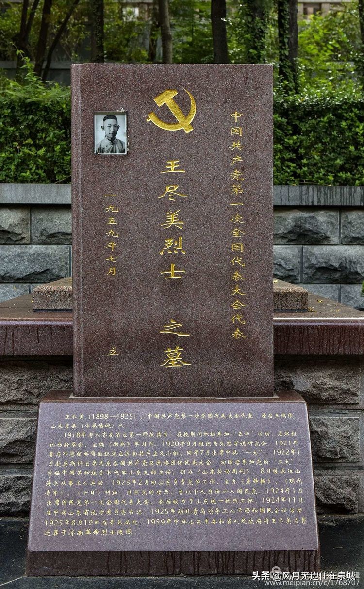 济南一颗梧桐树,济南的法国梧桐