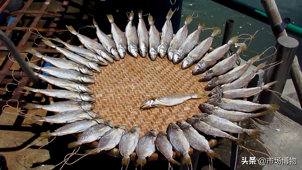 香港咸鱼品种,香港咸鱼