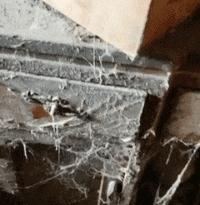 搞笑gif开心一刻单身也挺好,搞笑gif开心视频