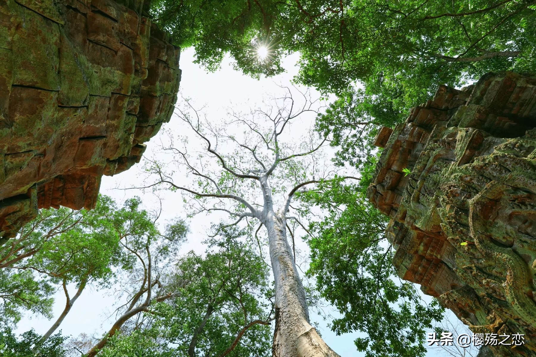 柬埔寨国宝是什么,柬埔寨国宝遗迹