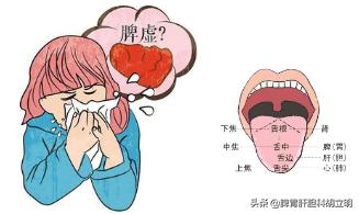 脾胃虚弱怎么调理最快,脾胃虚弱怎么调理艾灸有用吗