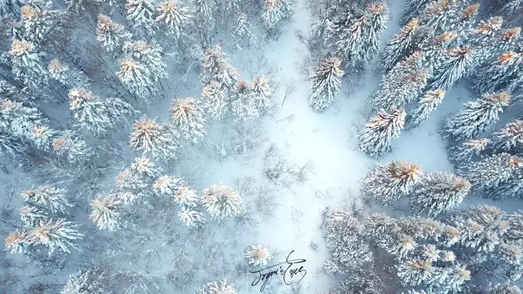 冰雪拍摄技巧和注意事项,冰天雪地雪景摄影技巧大全