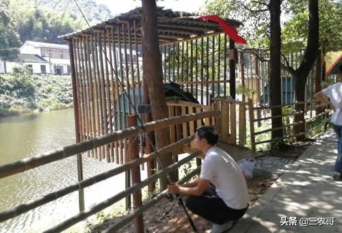 八个适宜在农村创业致富的项目,适合农村做的项目投资少见效快