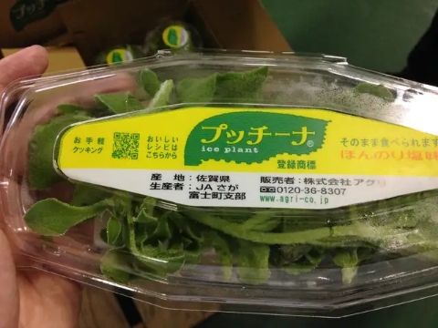 日本学习农业需要哪些条件,从日本学到什么