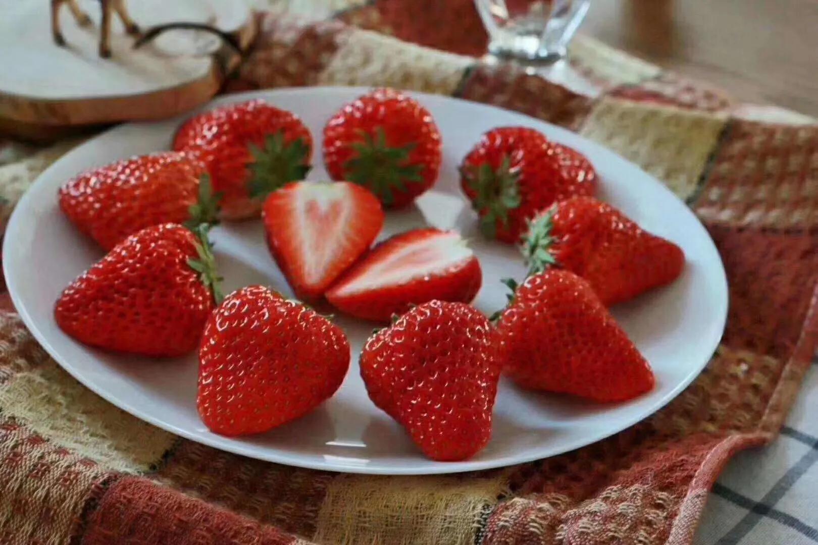 丹东99草莓直播,丹东99草莓罐头