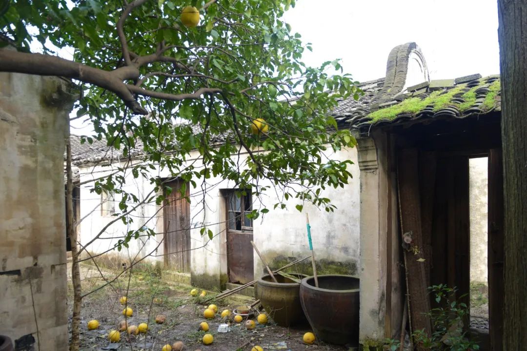 一对好友到绍兴改了3栋大宅，感叹：最高级的生活，在山水里