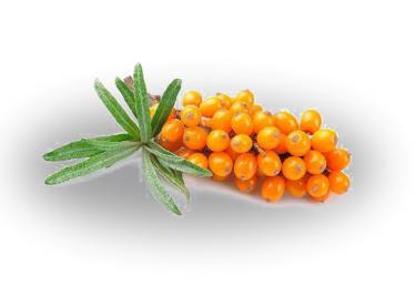 chantelle香娜露儿羊胎素4件套,香娜露儿羊胎素面霜