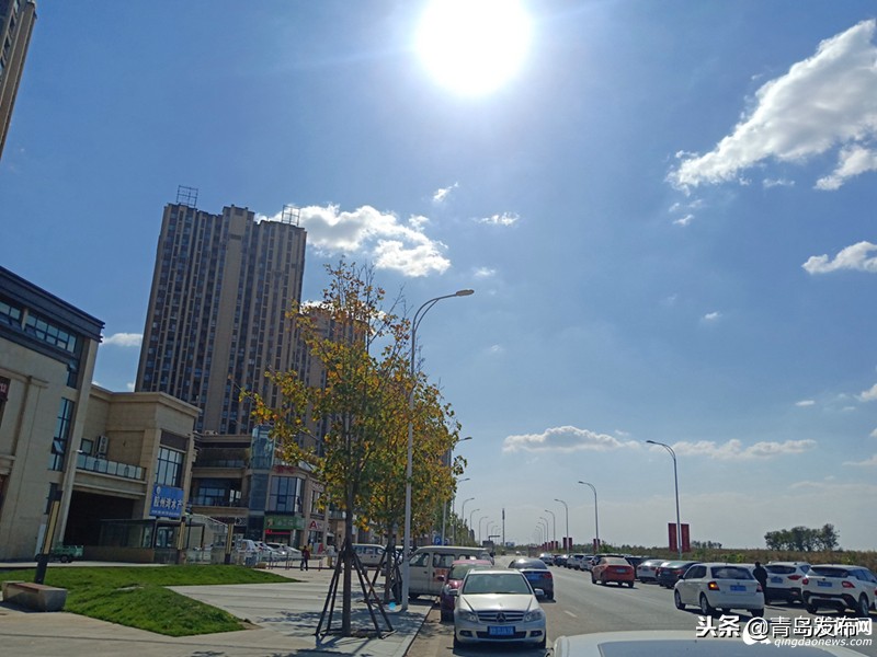 青岛最大足球场,青岛白沙湾足球基地2024比赛