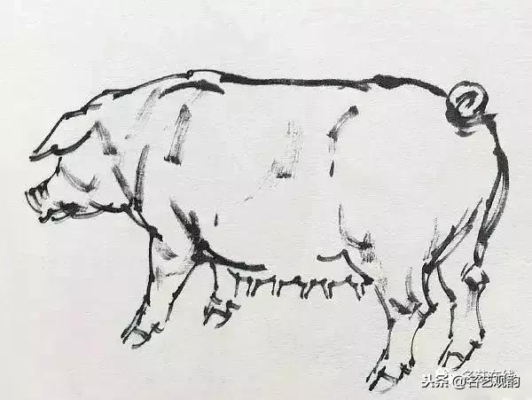 小朋友画猪简单又好看,猪年画猪中国画