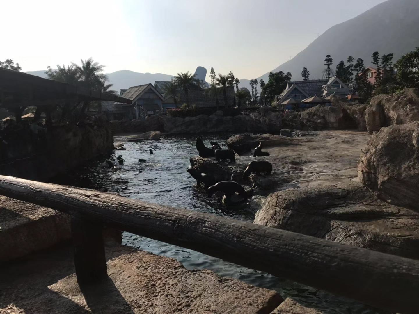 珠海长隆海洋王国亲子攻略2岁,亲子珠海长隆海洋王国一日游攻略