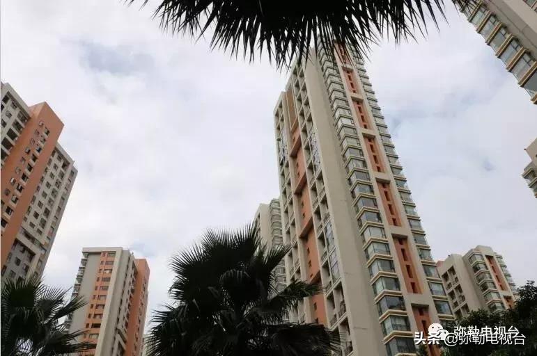 女子报警说家门口有恶犬,女子报警家门口有恶犬