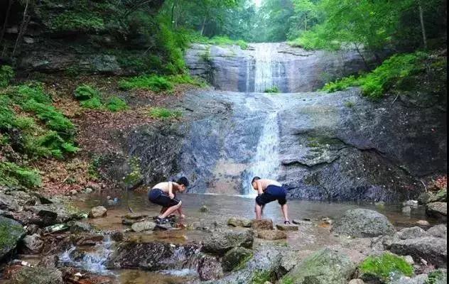 大连枫叶最佳观赏时间,大连枫叶红视频
