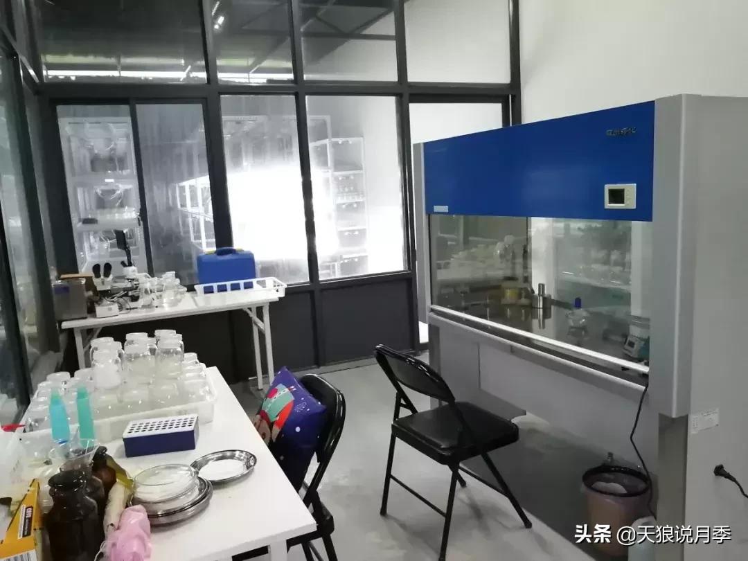 想找一份种花的工作,喜欢花草的适合什么工作