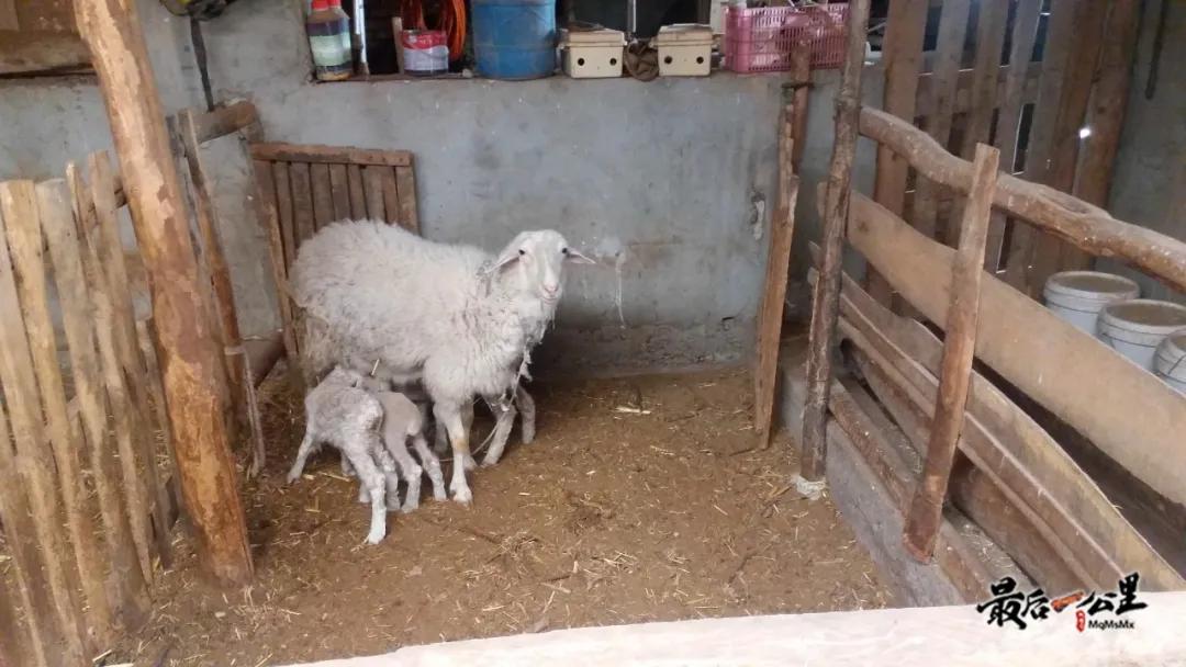 访惠聚工作周末休息吗,访惠聚活动不间断