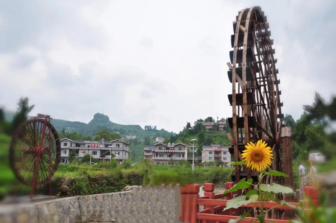 桐梓环境好的地方,桐梓森林氧吧