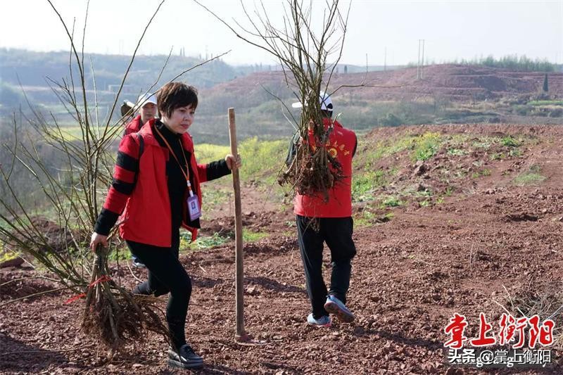 ​优秀！首批22位“衡阳群众”获赠实名制马甲