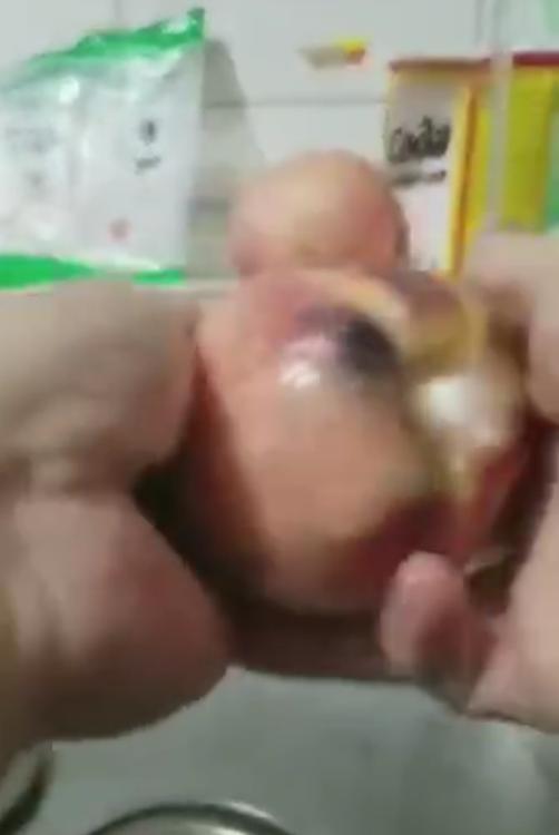 为什么用食用碱洗桃子变绿了,用碱面洗桃子变黑了还能吃吗