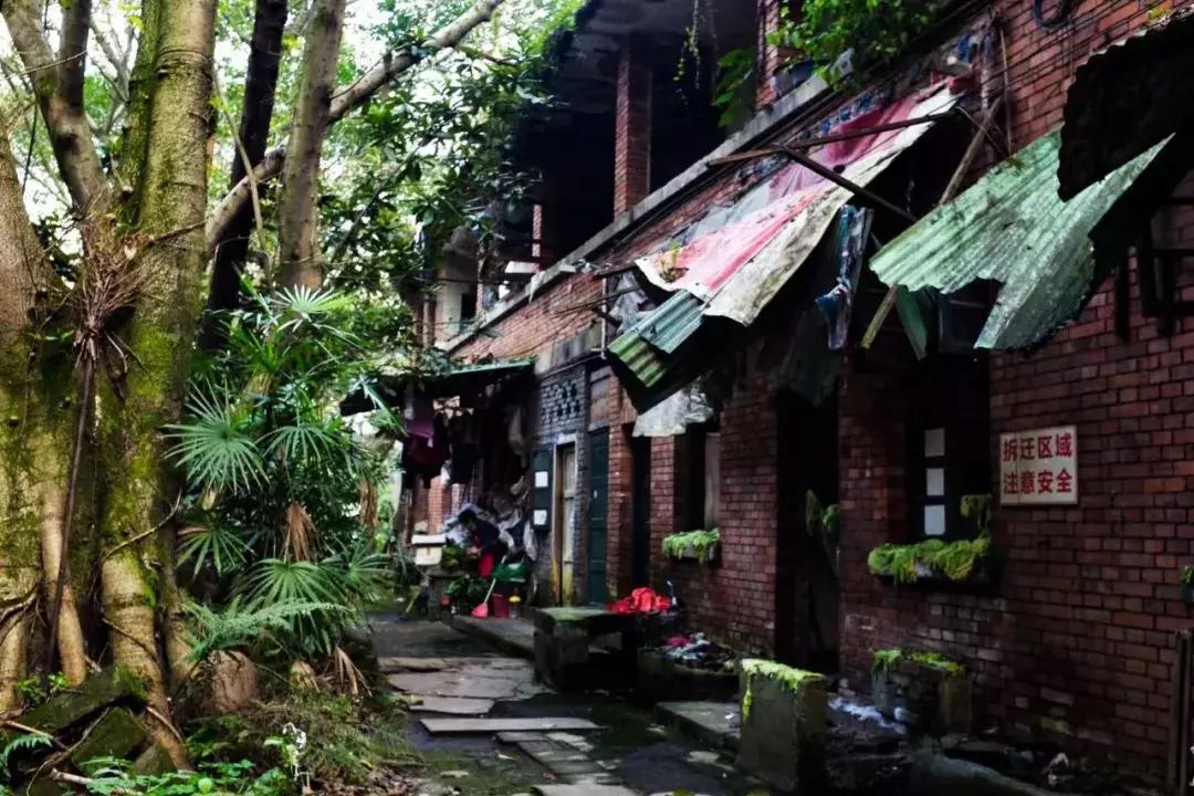 铜元局记忆视频,铜元局记忆照片