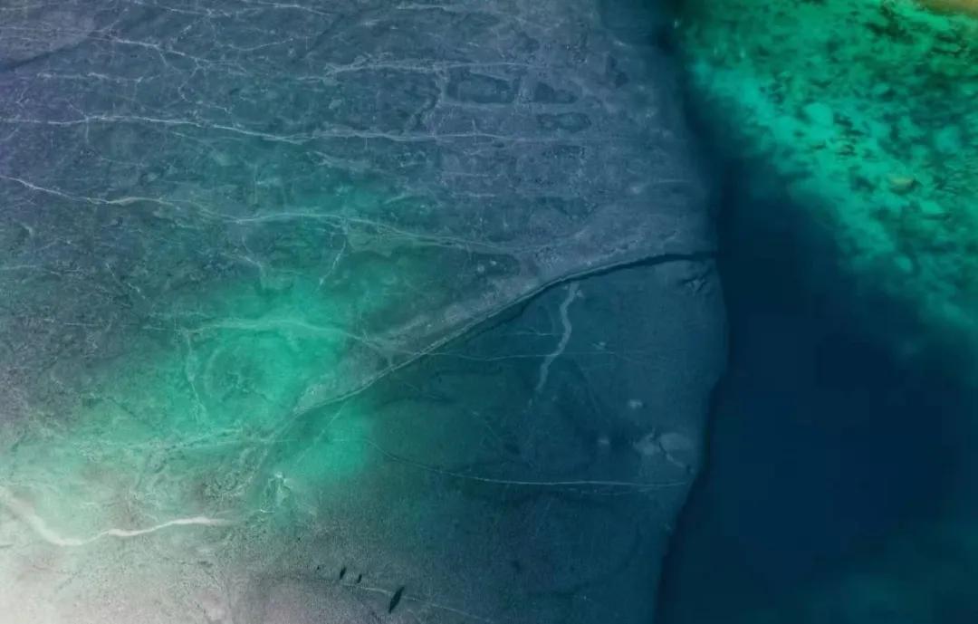 趁春意来赏油菜花海,趁春光去野游