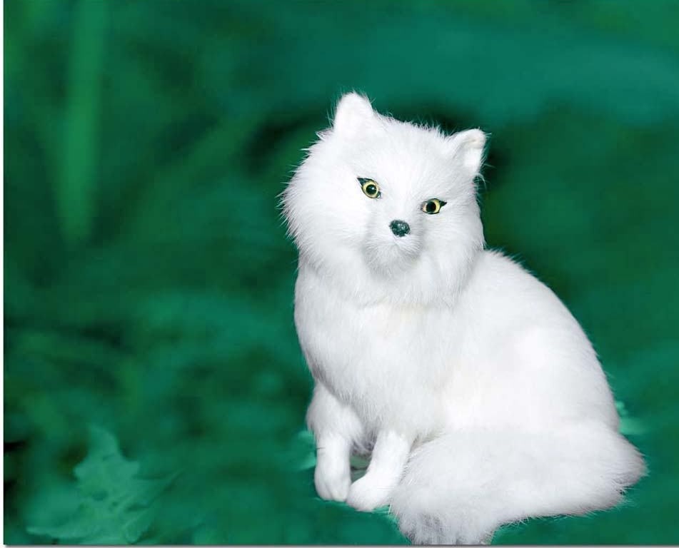 神秘的许昌高岗，太多的传奇闪耀光芒！