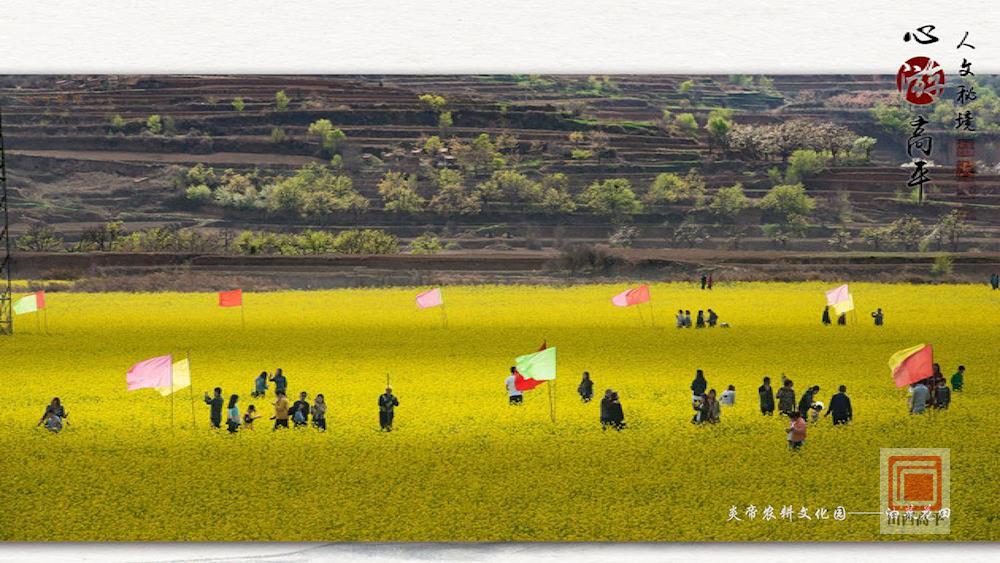 山西高平城市简介,山西晋城的千年古城高平市