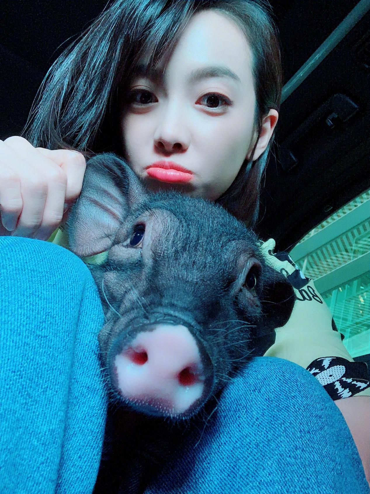 陈伟霆在家追狗,陈伟霆追狗