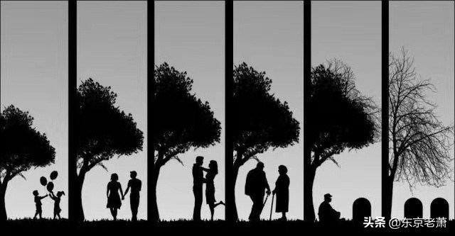 抱抱,亲亲,举高高——阳光和灰色之下日本出租女友