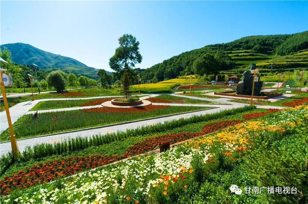 高晓东临潭县委书记,临潭县委书记高晓东