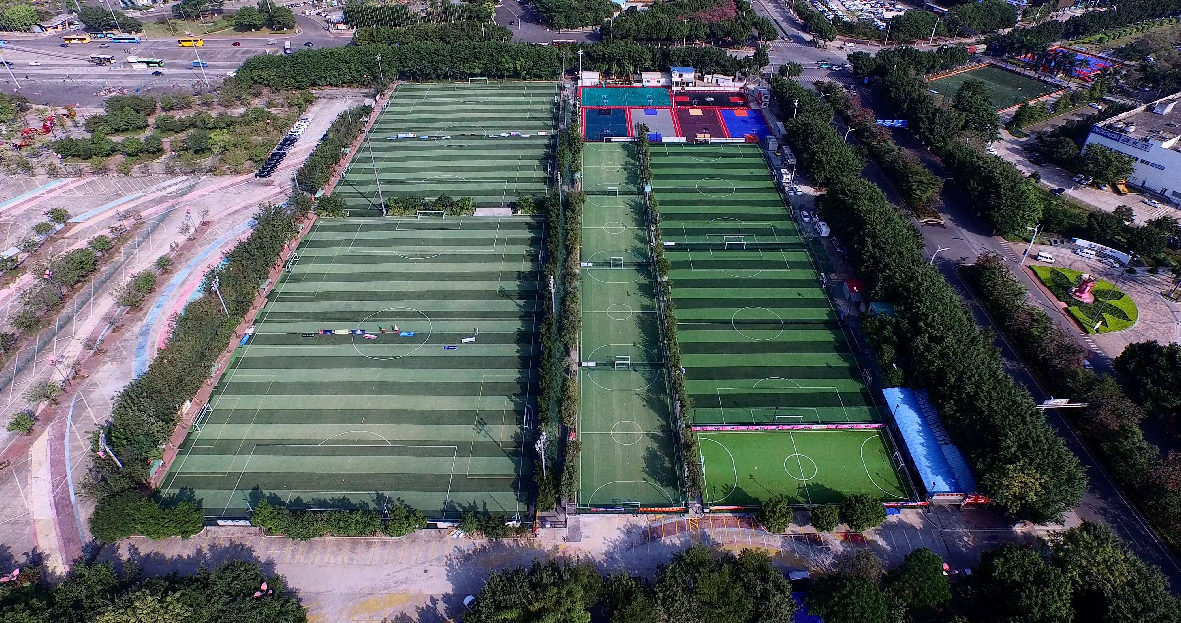 刘殿座为何不能成为国足主力门将,刘殿座足球世预赛