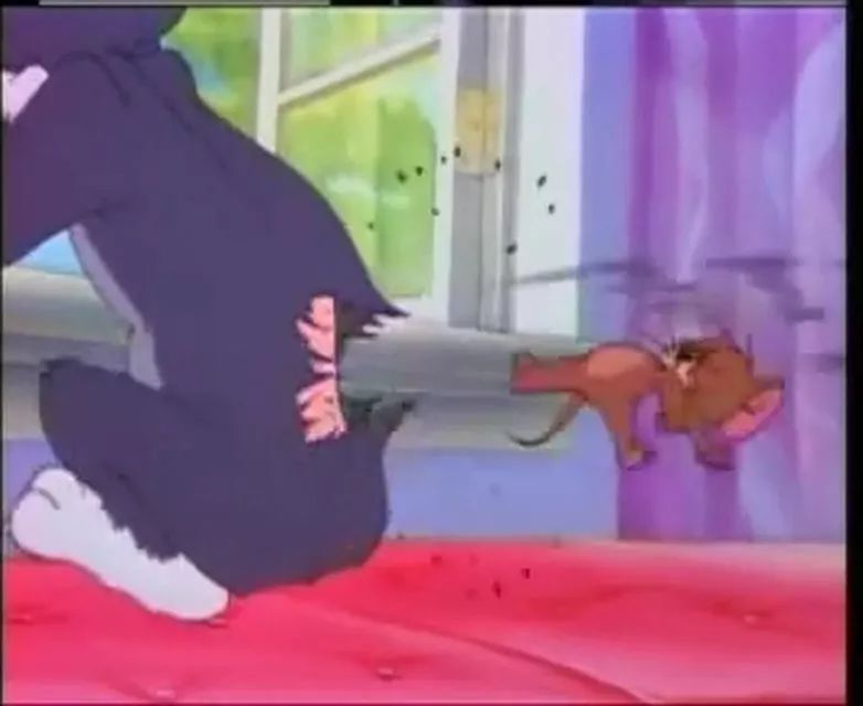 猫和老鼠四川方言版风车车哪里看,猫和老鼠四川风车车