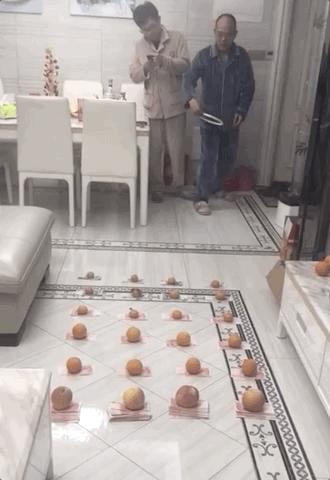 宅家无聊自嗨起来,宅家自娱自乐大赛