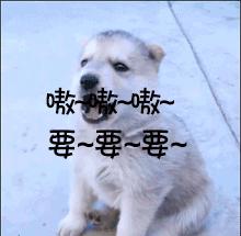 去泰国自由行怎么沟通,普通人去泰国旅游怎么交流