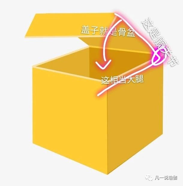 坐角式转动骨盆练习,瑜伽坐角式如何转髋