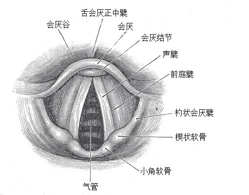 搞笑诺奖：在充满氦气的房间里来上一段B-BOX会怎样？