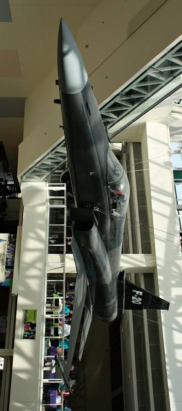 极富悲剧色彩的虎鲸,虎鲨悲剧