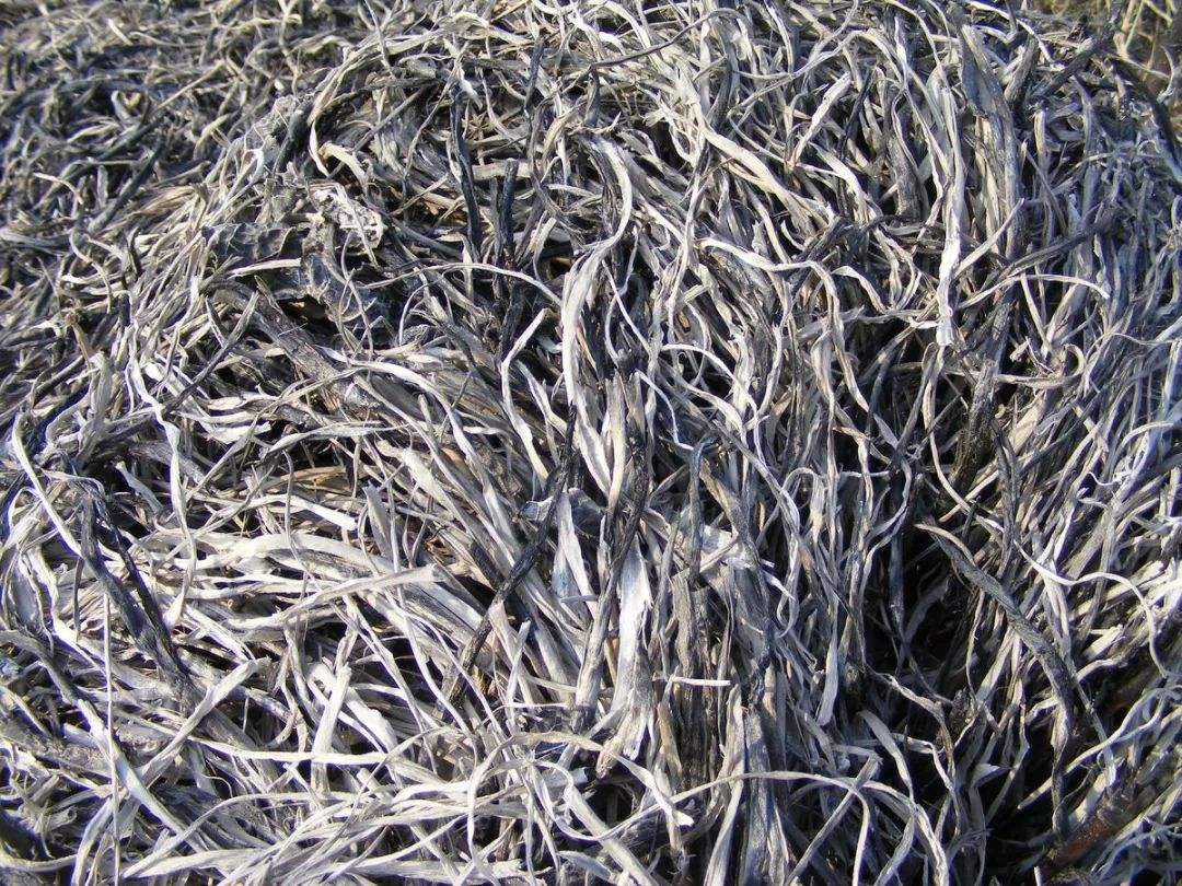 草木灰在养猪当中的作用,养猪用草木灰的正确使用方法