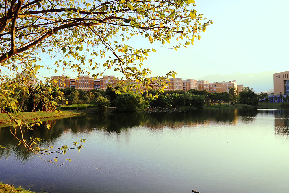 福州大学福建省高校排名,福州大学和福建大学